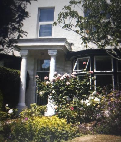 The Swallows B And B Exmouth Exterior photo