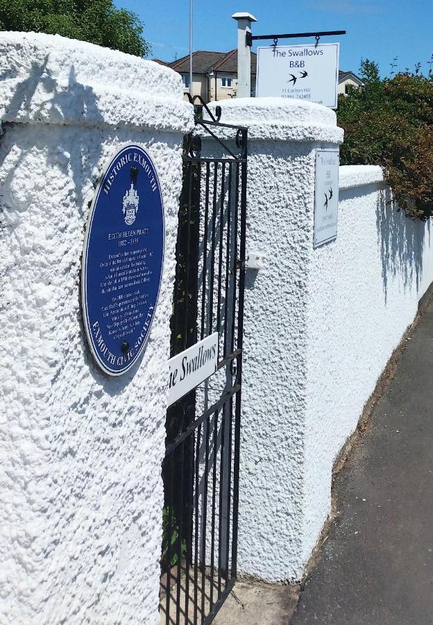 The Swallows B And B Exmouth Exterior photo